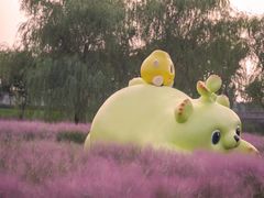 -嘉北郊野公园