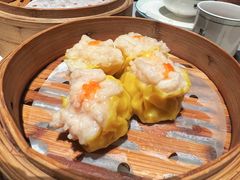 -新兴·金羊座·粤菜点心(乐峰店)