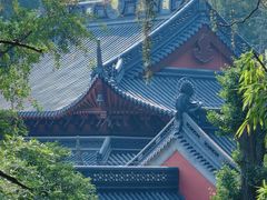 -清凉山国家森林公园