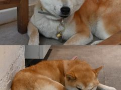 -三目仓咖啡(贤南路店)