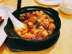 陈麻婆豆腐-陈麻婆豆腐(春熙店)