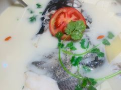 -全乐鱼馆·淳牌有机鱼直营店