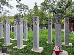 -大槐树寻根祭祖园