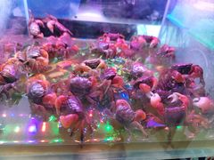 -三旗百汇商品城