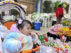 -循礼门鲜花花市(武汉循礼门店)