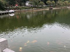 -广州市帽峰山景区
