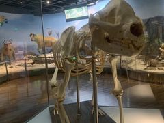 -陕西自然博物馆