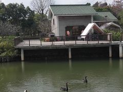 -王借岗森林公园