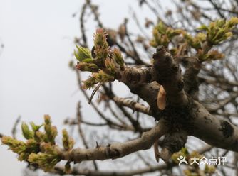 见识了许多过目难忘的景