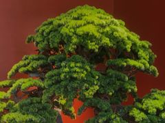 -阿伟海鲜楼·福建菜(延寿店)