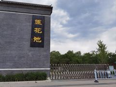 -莲花池公园