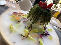 森林其境-若蘭慈·无国界素食料理(欢乐海岸店)