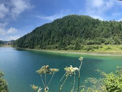 -武陵山森林公园