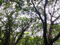 -北海市海滨公园