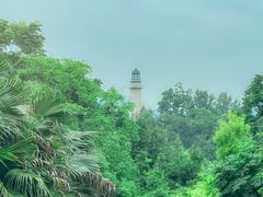 -金海湾滨江公园