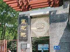 -莲花池公园