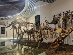 -烟台自然博物馆
