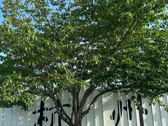 -杭州湖滨银泰in77