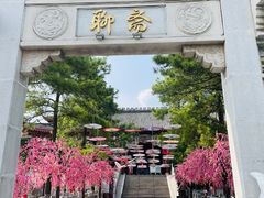 -株洲方特欢乐世界