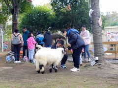 -HERRE·FARM 赫尔露营农场·团建聚会包场