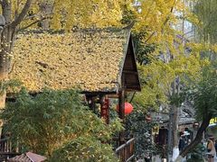 -黄龙溪古镇-古龙寺