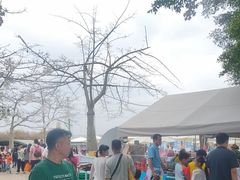 -盈香心动乐园