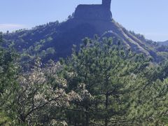 -磬锤峰森林公园