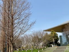 -青麦家·融合餐厅(江岛智立方店)