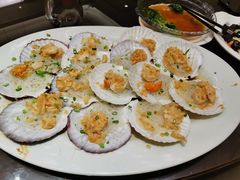蒜蓉粉丝蒸元贝-北海渔村酒楼·粤菜海鲜点心(新华店)