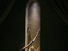 -森SPA·泰式按摩·精油Massage(宝安中心店)