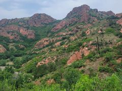 -红山国家森林公园