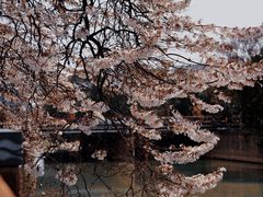 -红星桥(地铁站)