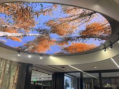 -ARC'TERYX始祖鸟(北京王府中环店)