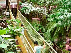 -正佳雨林生态植物园