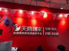 -天鹅到家·保姆月嫂育儿嫂(浦东店)