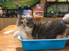 -藦茜花园宠物主题亲子互动体验馆(国顺东路店)