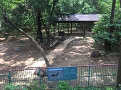 -柳州市动物园