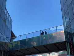 -星巴克(北京三里屯SOHO一店)