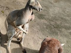 -福州动物园