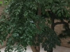 -郑庄脂渣海鲜楼(九水路店)