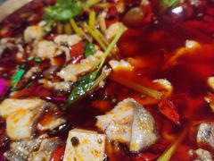 -蛙一刀·麻椒鱼火锅(金仙桥店)