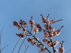 -吉林大学前卫校区南区-日新楼