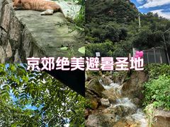 -大岭沟猕猴桃谷风景区