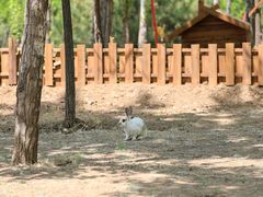 -野鸭湖国家湿地公园