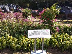 -广州雕塑公园