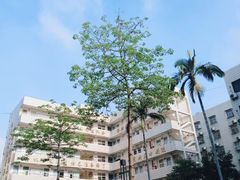 -深圳新东方烹饪学校