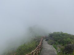-大围山国家森林公园