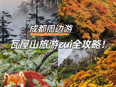 -瓦屋山景区