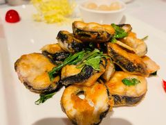 金不换煎焗白鳝-博多新记·粤菜(复兴店)