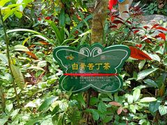 -呀诺达热带雨林